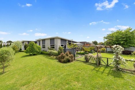 Photo of property in 17 Allendale Place, Morrinsville, 3300