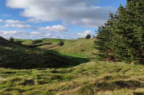 Photo of property in 405c Rowe Road, Ohauiti, Tauranga, 3173