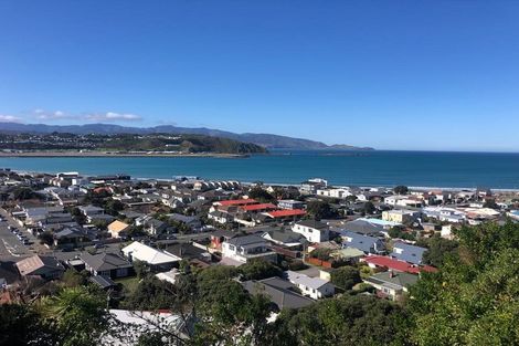 Photo of property in 53 Carlton Street, Melrose, Wellington, 6023