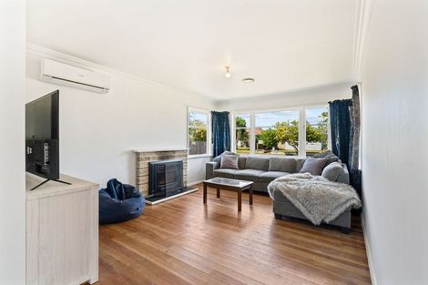 Photo of property in 32 Elizabeth Street, Levin, 5510