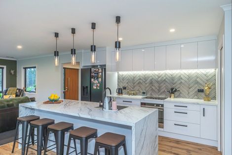 Photo of property in 208 Potts Road, Koputaroa, Levin, 5571