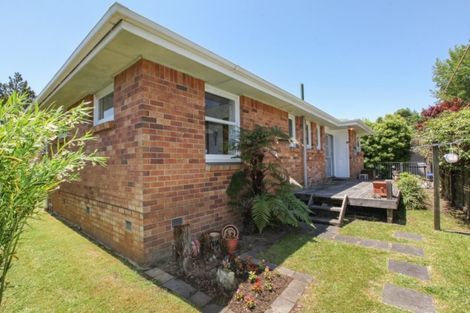 Photo of property in 149 Rimu Street, Maeroa, Hamilton, 3200