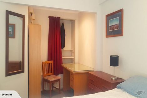 Photo of property in 53 Hankey Street, Mount Cook, Wellington, 6011