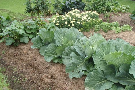 Photo of property in 122 Anzac Road, Morningside, Whangarei, 0110