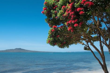 Photo of property in 43a Aramoana Avenue, Devonport, Auckland, 0624