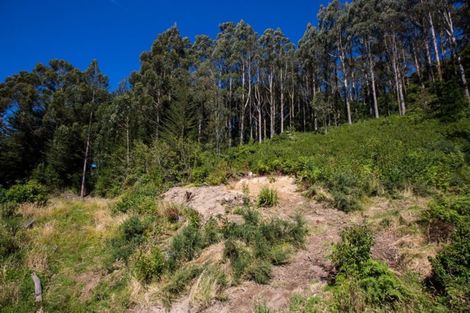 Photo of property in 533 Mount Cargill Road, Mount Cargill, Waitati, 9085