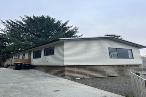 Photo of property in 91c Arapuni Street, Putaruru, 3411