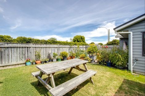 Photo of property in 1118 Copeland Road, Akina, Hastings, 4122