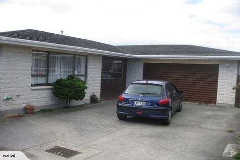 Photo of property in 47 Kings Crescent, Hutt Central, Lower Hutt, 5010