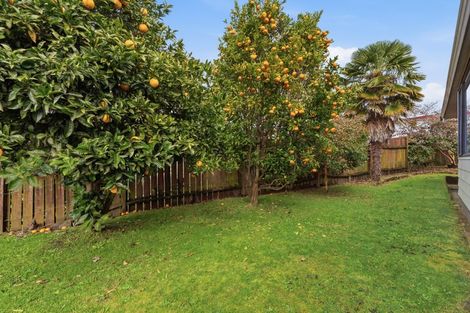 Photo of property in 21 Bayview Street, Te Puke, 3119