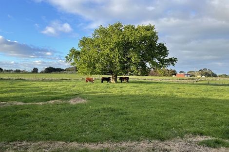 Photo of property in 550 Waiau Pa Road, Waiau Pa, Pukekohe, 2679