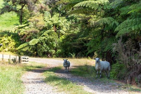 Photo of property in 425 Hot Springs Road, Tahawai, Katikati, 3178