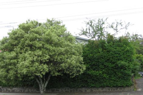 Photo of property in 28 Alberton Avenue, Mount Albert, Auckland, 1025