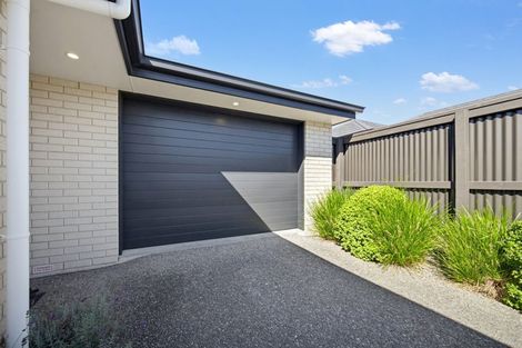 Photo of property in 10c Chisnall Street, Richmond, 7020