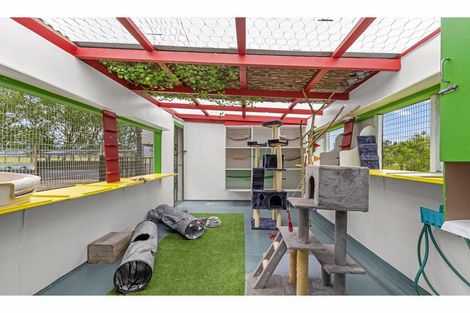 Photo of property in 349 Hauraki Road, Orongo, Thames, 3574