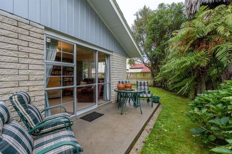 Photo of property in 117b Clarkin Road, Fairfield, Hamilton, 3214