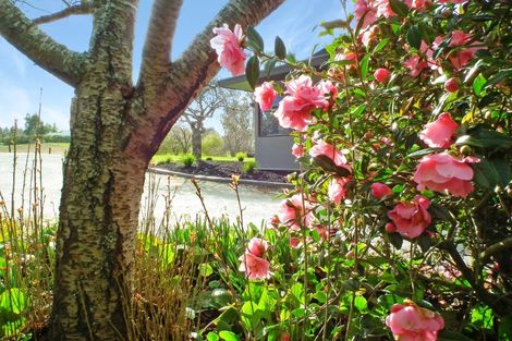 Photo of property in 297 Homestead Road, Weston, Oamaru, 9491