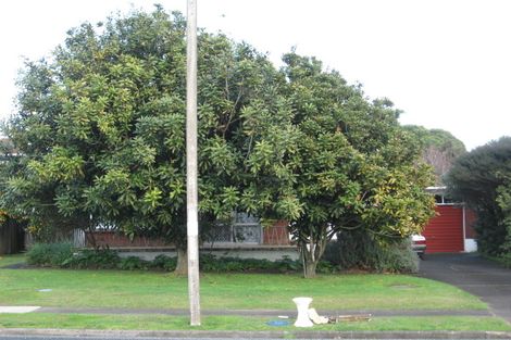 Photo of property in 119 Elliot Street, Pahurehure, Papakura, 2113