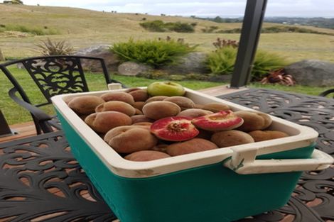 Photo of property in 60 Hume Road, Aongatete, Katikati, 3181