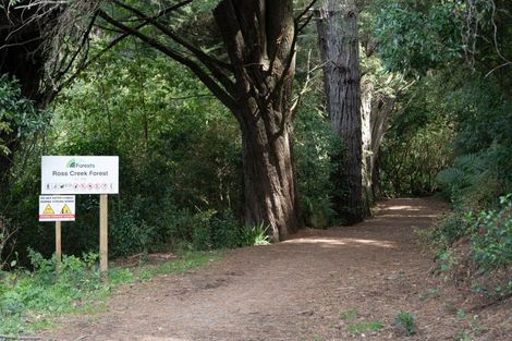 Photo of property in 9 Islay Street, Glenleith, Dunedin, 9010
