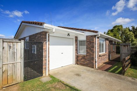 Photo of property in 37c Hukanui Road, Fairfield, Hamilton, 3214