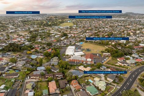 Photo of property in 331a Hillsborough Road, Hillsborough, Auckland, 1042