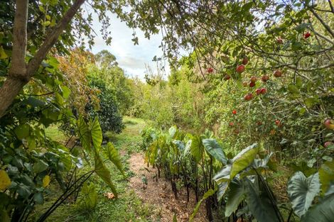 Photo of property in 15 Mangotahi Road, Thames, 3577