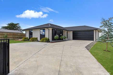 Photo of property in 23 George Street, Bulls, 4818