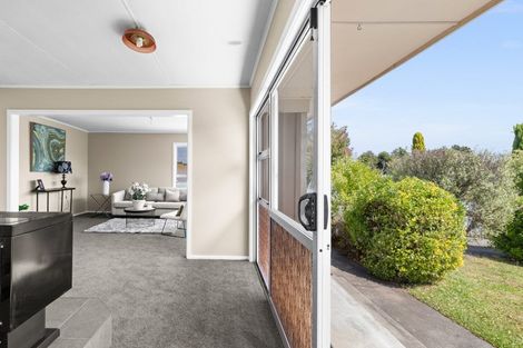 Photo of property in 19 Mangarau Crescent, Havelock North, 4130