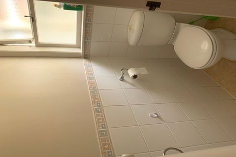 Photo of property in 21 Richards Avenue, Forrest Hill, Auckland, 0620