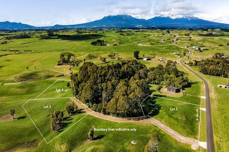 Photo of property in 183 Warea Road, Warea, 4381