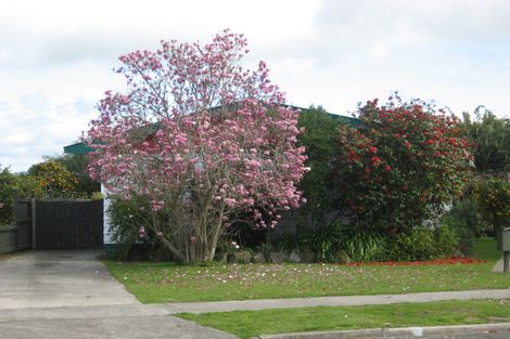 Photo of property in 47 Puriri Crescent, Edgecumbe, 3120