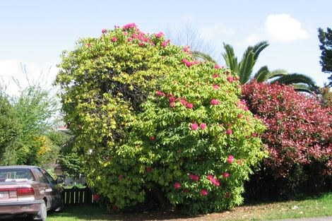 Photo of property in 38 Upland Road, Western Heights, Rotorua, 3015