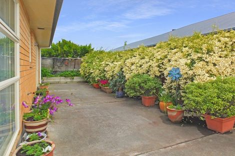 Photo of property in 62 Andrews Street, Foxton Beach, Foxton, 4815