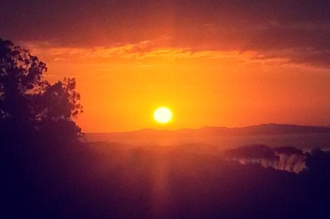 Photo of property in 1702 Colville Road, Amodeo Bay, Coromandel, 3584