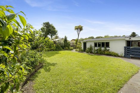 Photo of property in 20 Alfred Street, Roslyn, Palmerston North, 4414