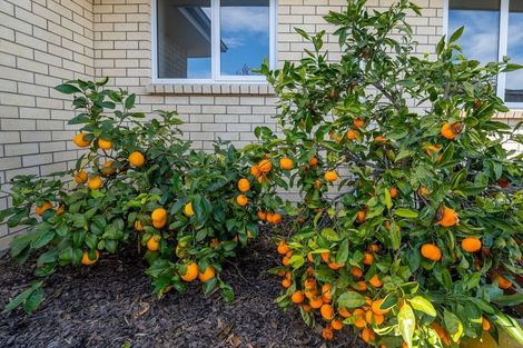 Photo of property in 8 Mccrae Street, Wakefield, 7025