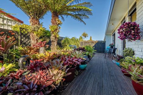 Photo of property in 12b Hikurangi Street, Whakatane, 3120