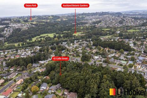Photo of property in 42 Collie Street, Hillpark, Auckland, 2102