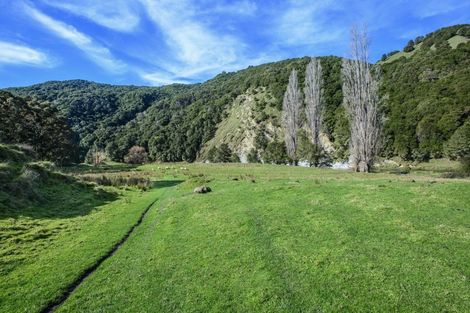 Photo of property in 1149 Ruakituri Road, Ruakituri, Wairoa, 4195