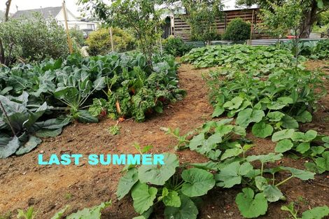 Photo of property in 22 Ferry Street, Wyndham, 9831