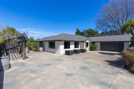 Photo of property in 59 Anglesea Street, Renwick, 7204