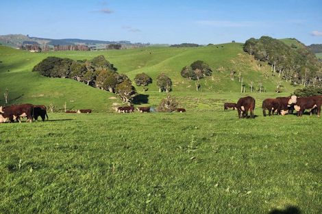 Photo of property in 899 Te Akau Road, Te Akau, Ngaruawahia, 3793
