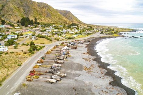 Photo of property in 3129 Mangatoetoe Grove, Cape Palliser, Pirinoa, 5772