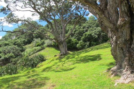Photo of property in 130 Tangiora Avenue, Whangapoua, Coromandel, 3582