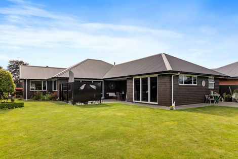 Photo of property in 313a King Street, Temuka, 7920