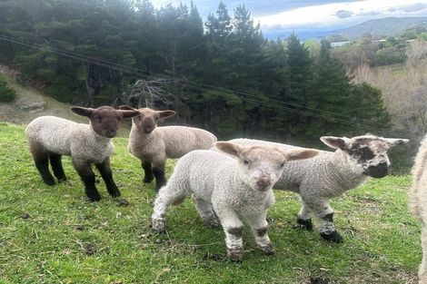 Photo of property in 11 Kaimata Road, Bay View, Napier, 4182