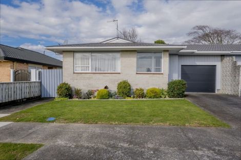 Photo of property in 78 Winchester Street, Levin, 5510
