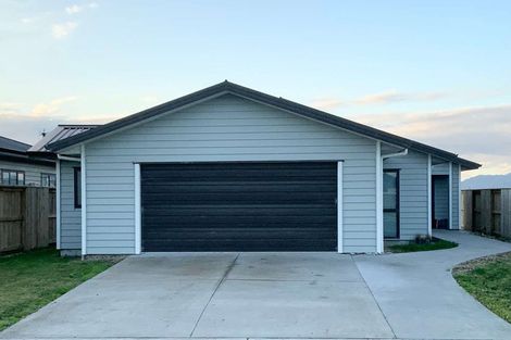 Photo of property in 20 Mcwatters Drive, Ngatea, 3503