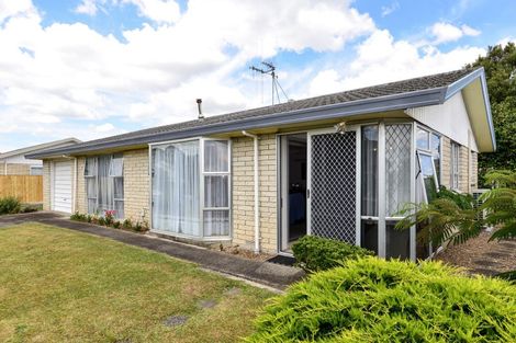 Photo of property in 28 Winstone Avenue, Chartwell, Hamilton, 3210